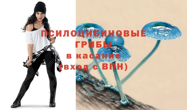 спиды Абинск
