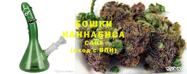 не бодяженный Новозыбков
